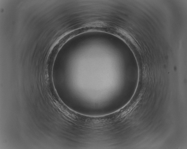 X0000077990923200611031416