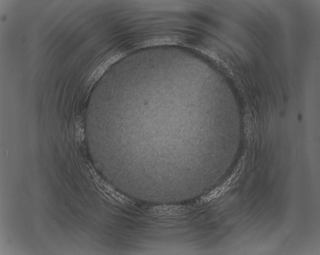 X0000077990929200611031417