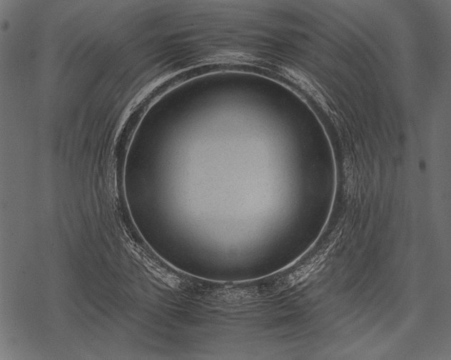 X0000077990931200611031417