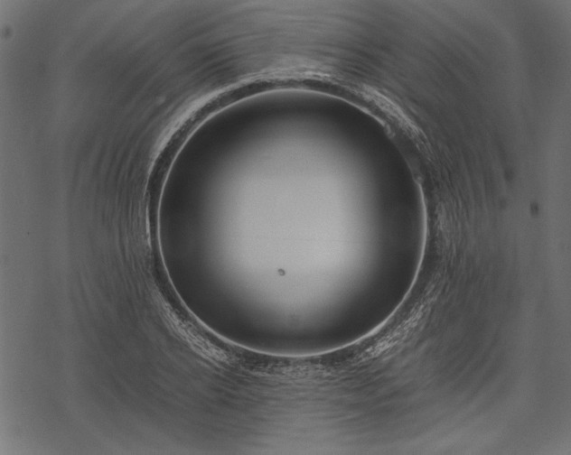 X0000077990934200611031417