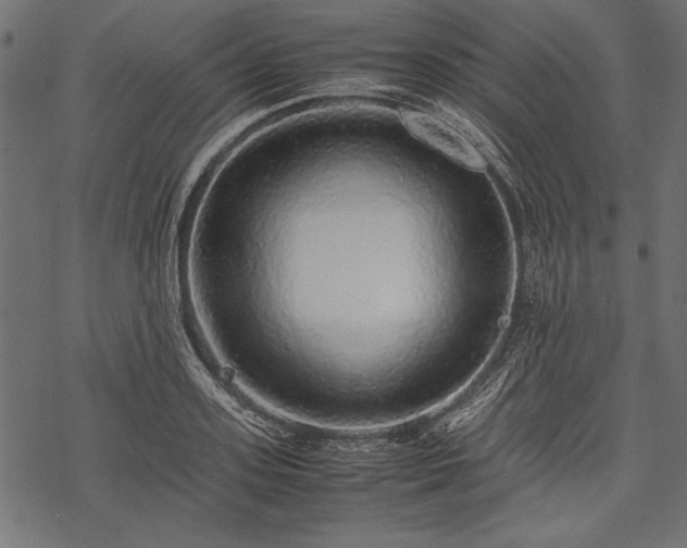 X0000077990939200611031417