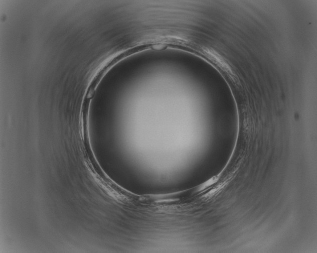 X0000077990940200611031417