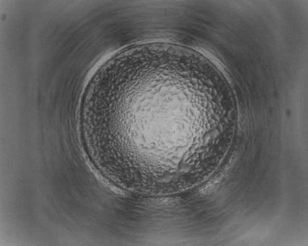 X0000077990949200611031417