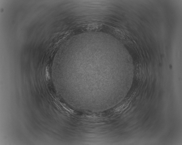 X0000077990962200611031416
