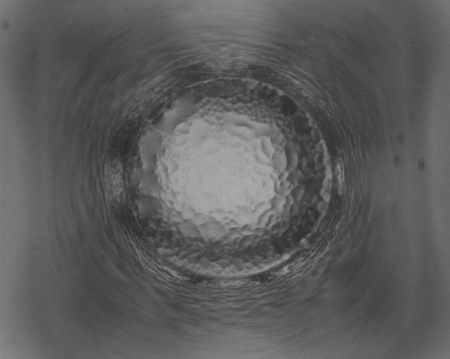 X0000077990963200611031416