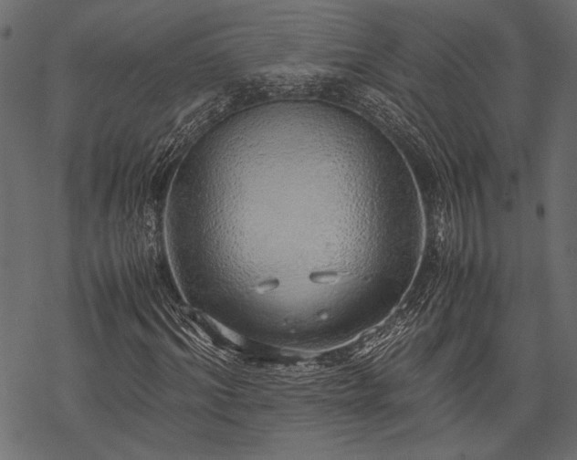 X0000077990964200611031416