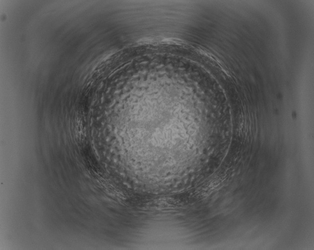 X0000077990966200611031416