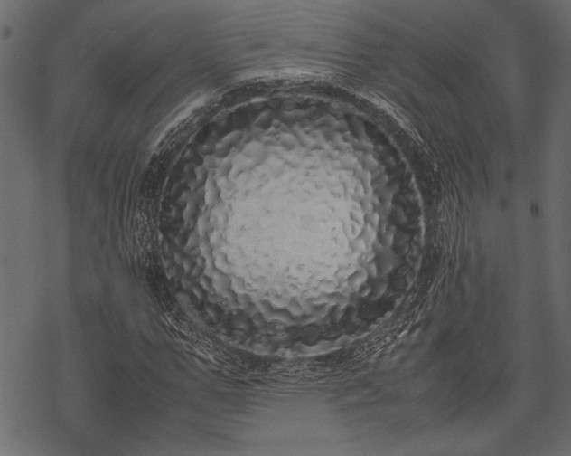 X0000077990967200611031416