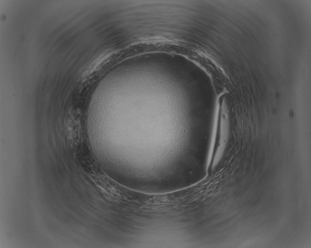 X0000077990968200611031416