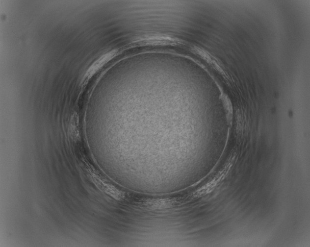 X0000077990970200611031416