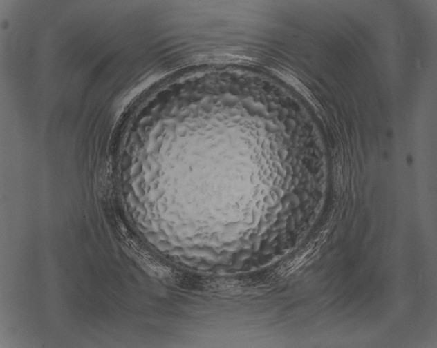 X0000077990971200611031416