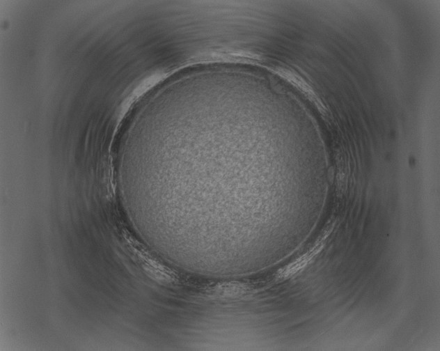 X0000077990974200611031416