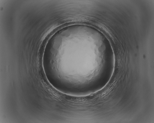 X0000077990975200611031416