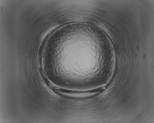 X0000077990987200611031416