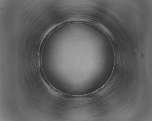 X0000077990988200611031416