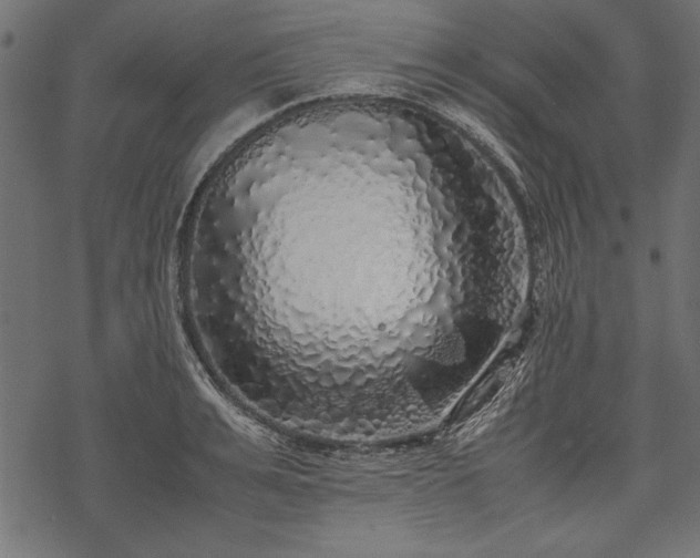 X0000077990991200611031416