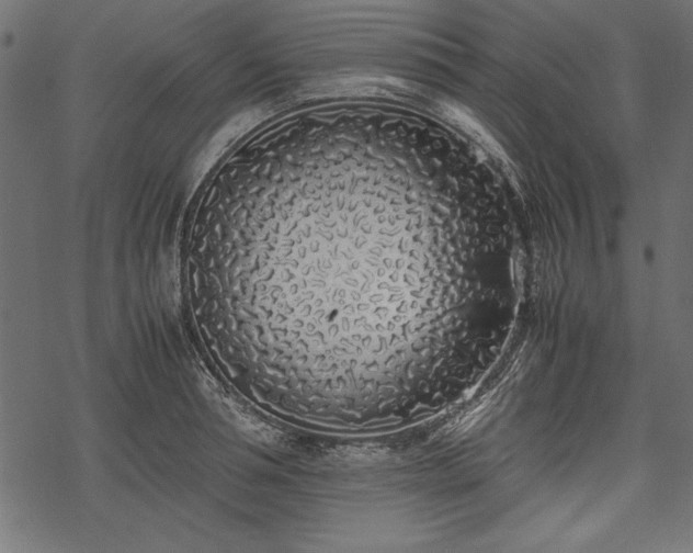 X0000077990994200611031416