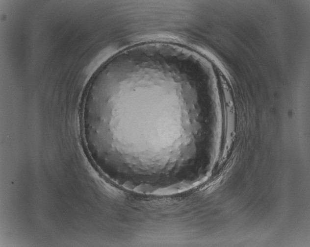 X0000077990999200611031416
