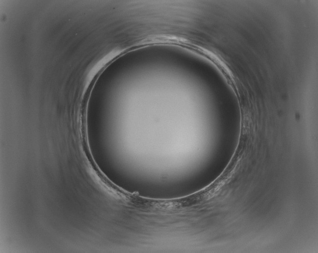 X0000077991003200611031416