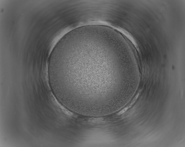 X0000077991006200611031416