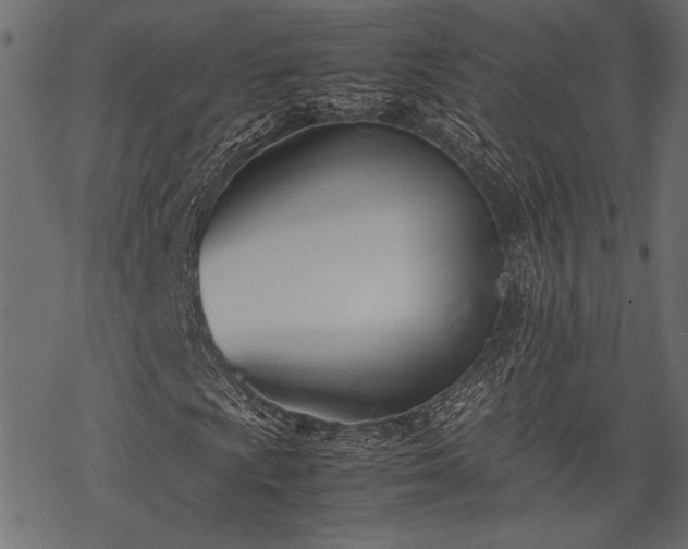 X0000077991009200611031415