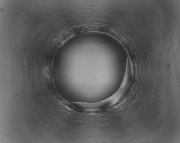 X0000077991010200611031415