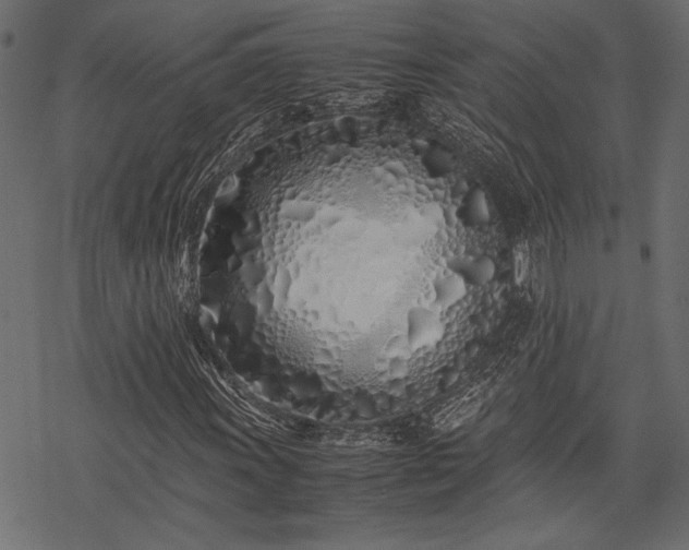 X0000077991011200611031415