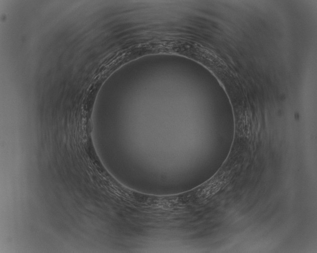X0000077991013200611031415
