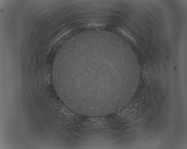 X0000077991015200611031415