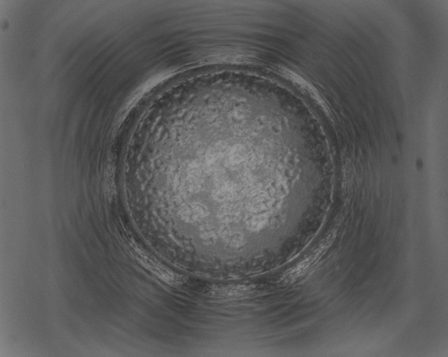 X0000077991019200611031415
