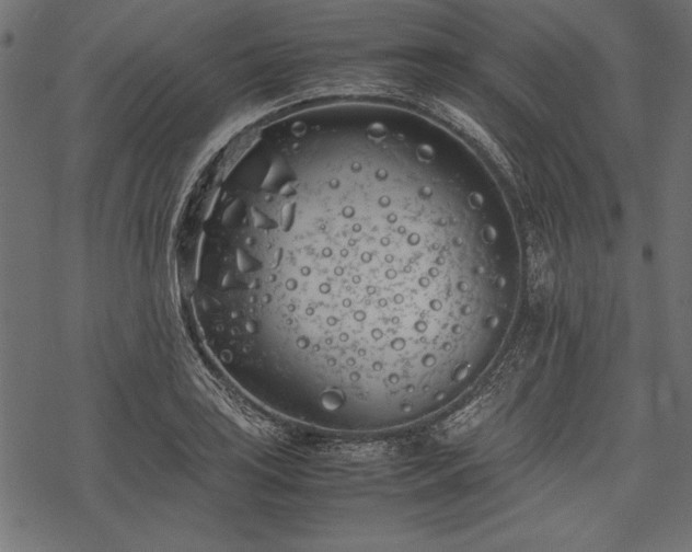 X0000077991035200611031415