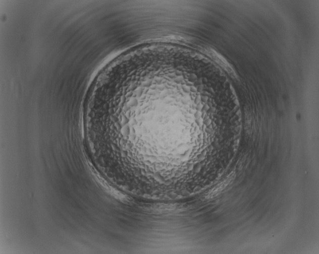 X0000077991036200611031415