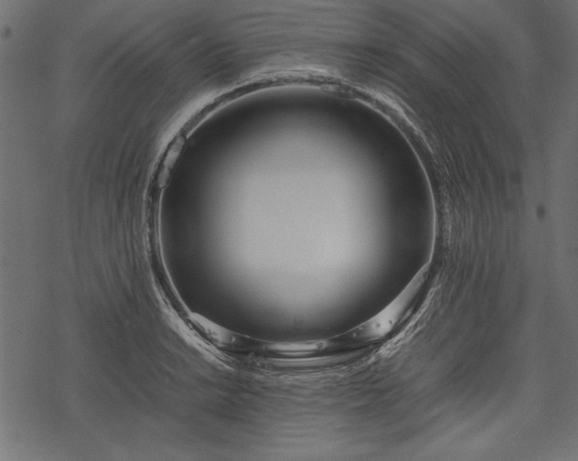 X0000077991038200611031415