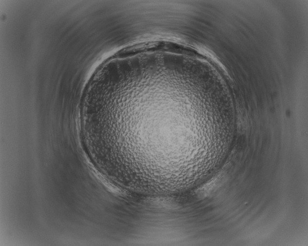 X0000077991040200611031415