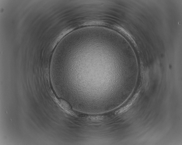 X0000077991041200611031415