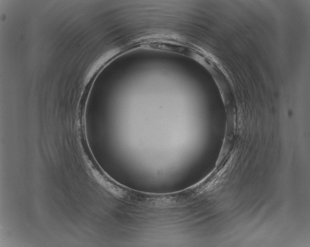 X0000077991042200611031415