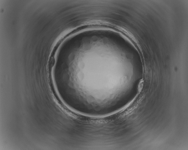 X0000077991045200611031415