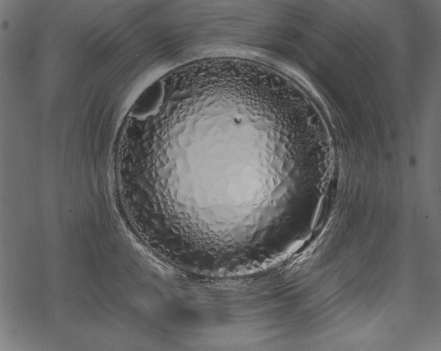 X0000077991048200611031415