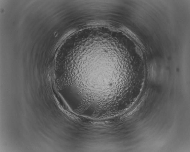 X0000077991049200611031415