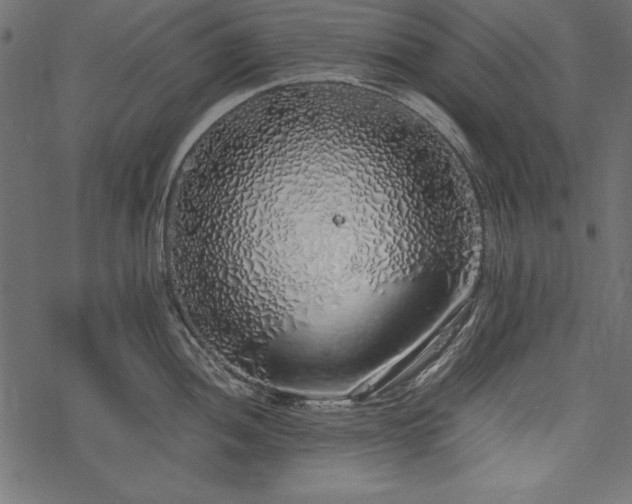 X0000077991052200611031415