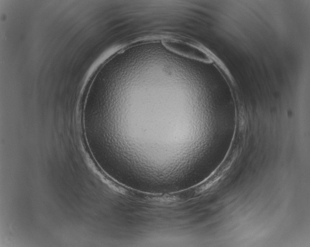 X0000077991053200611031415