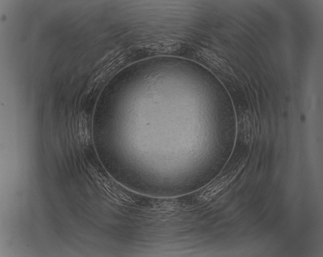 X0000077991058200611031415