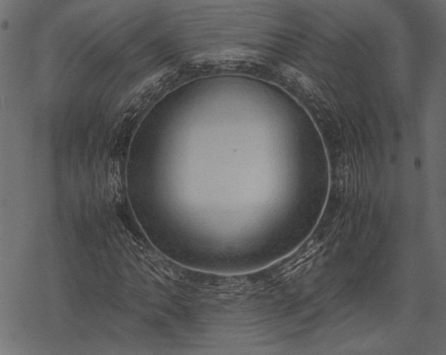 X0000077991062200611031415