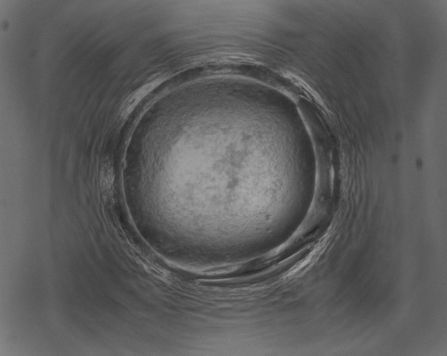 X0000077991065200611031415