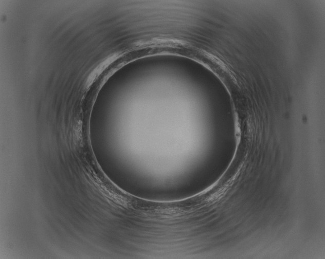 X0000077991066200611031415