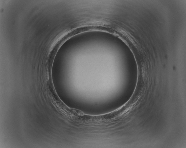 X0000077991069200611031415