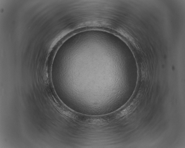 X0000077991070200611031415