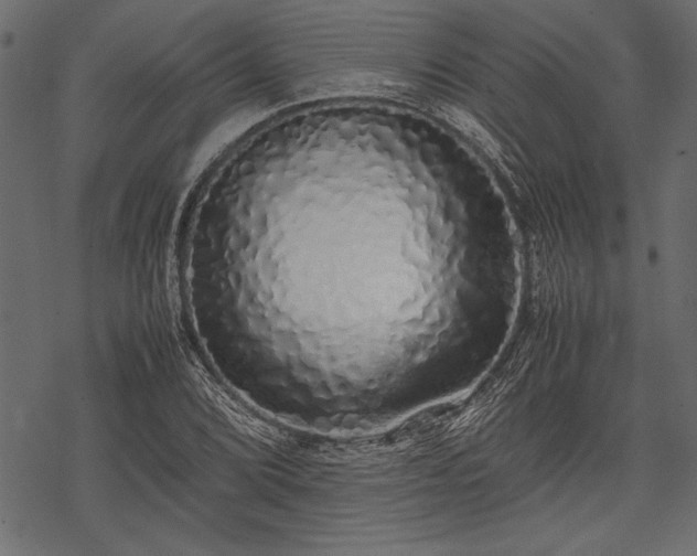 X0000077991072200611031415