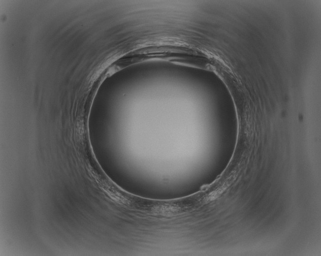 X0000077991073200611031414