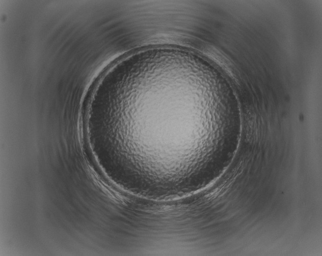 X0000077991076200611031414